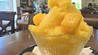個展開催中～IN　言の波
